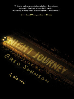 cover image of Night Journey